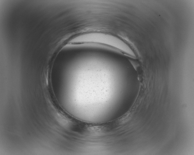 X0000071920062200607212119