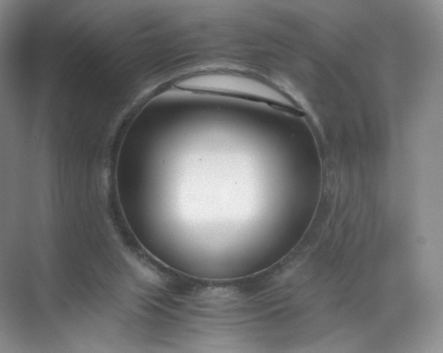 X0000071920063200607212119