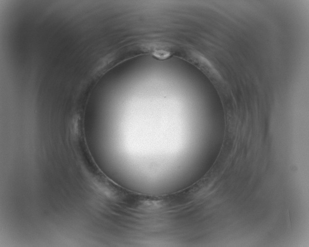 X0000071920071200607212119