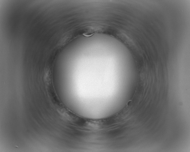 X0000071920079200607212119