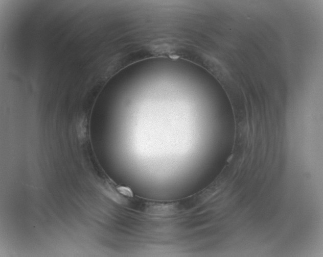 X0000071920081200607212119