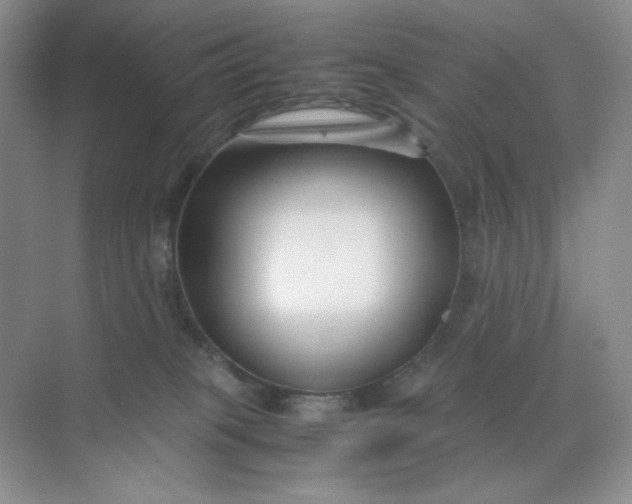 X0000071920085200607212119