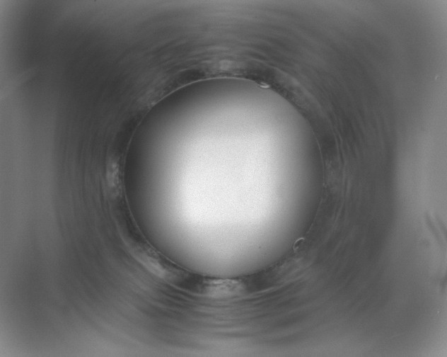 X0000071920087200607212119