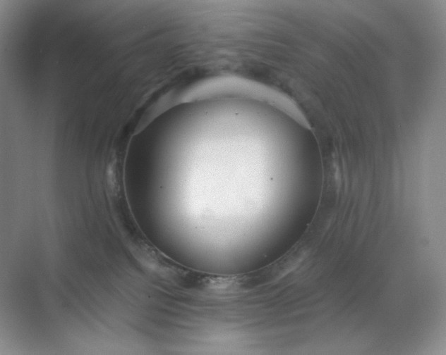 X0000071920088200607212119