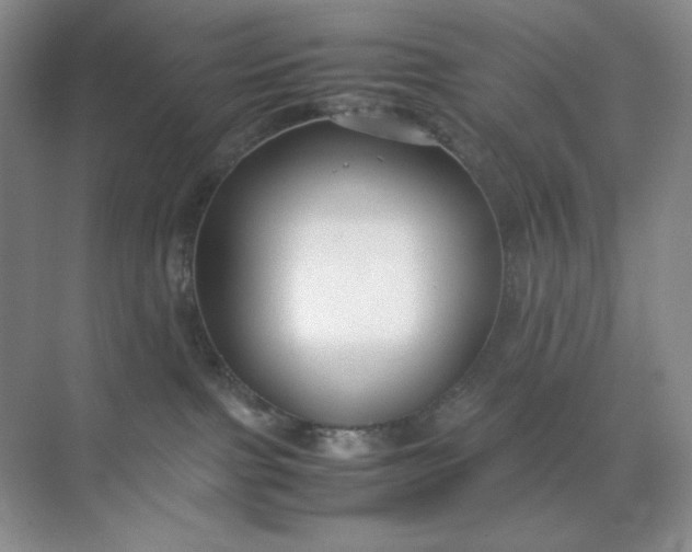 X0000071920091200607212119