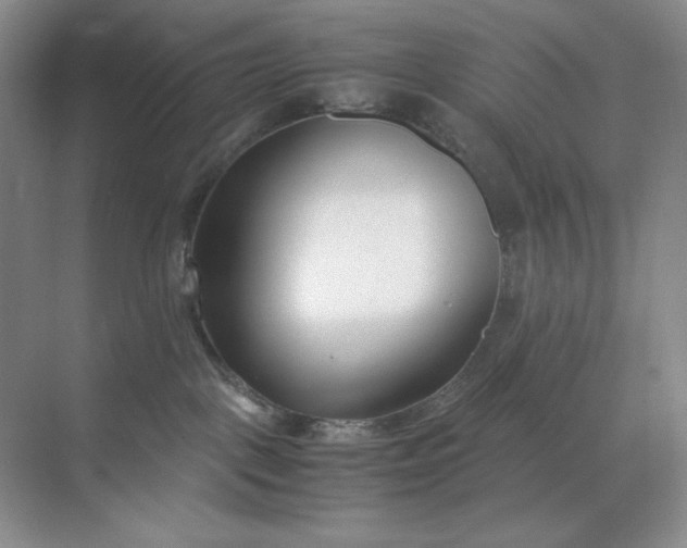 X0000071920093200607212119