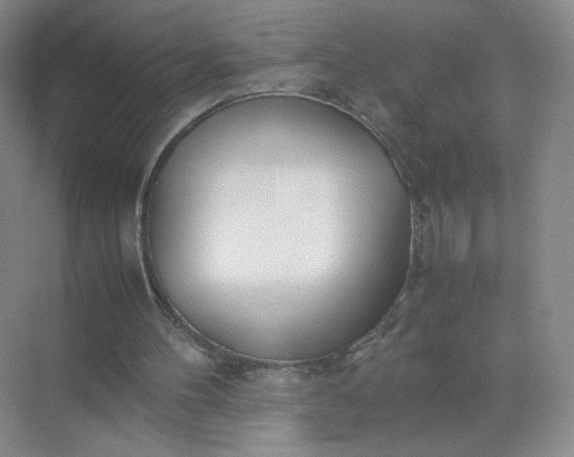 X0000071920100200607212118