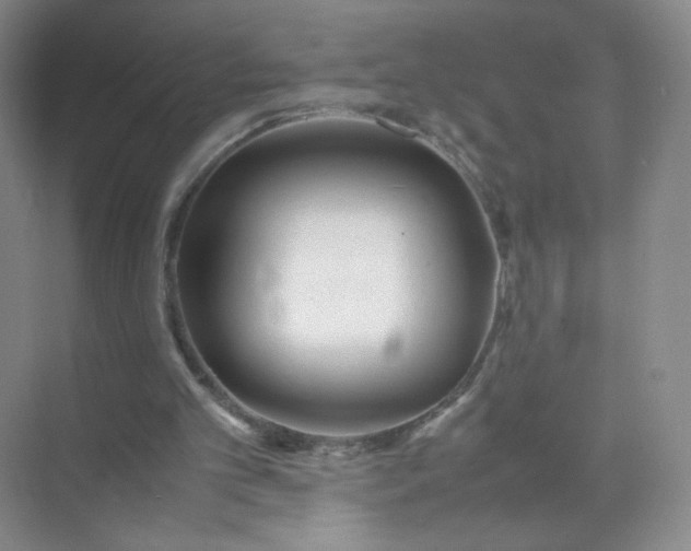 X0000071920101200607212118