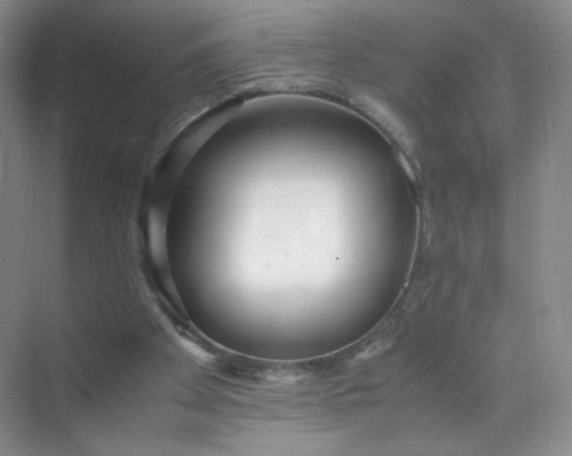 X0000071920105200607212118
