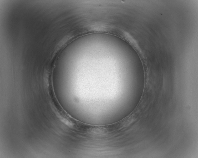 X0000071920106200607212118
