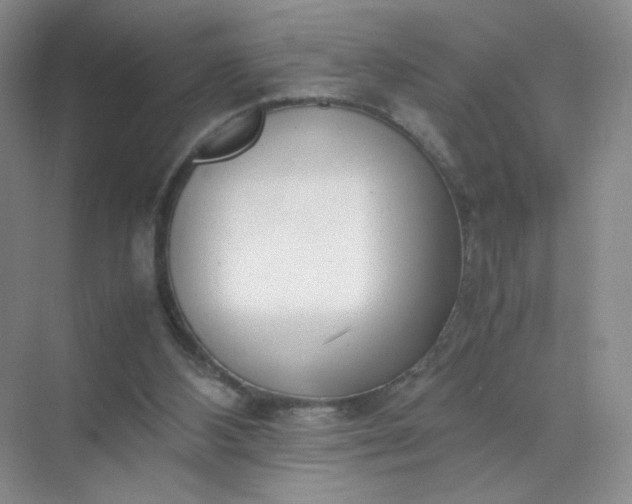 X0000071920108200607212118