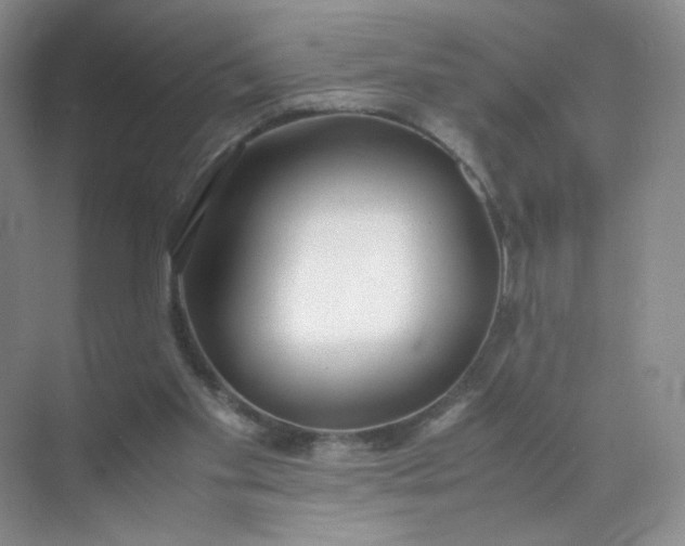 X0000071920109200607212118