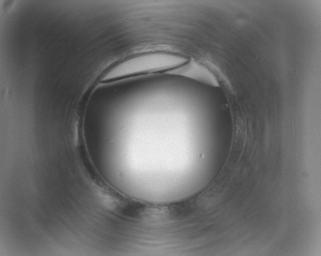 X0000071920110200607212118