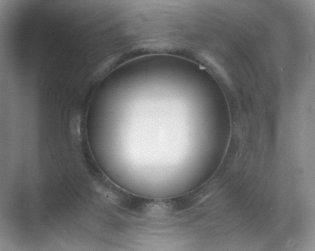 X0000071920115200607212118
