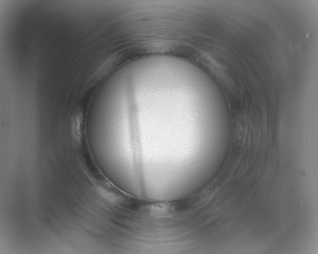 X0000071920118200607212118