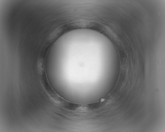 X0000071920119200607212118