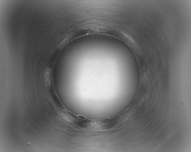 X0000071920121200607212118