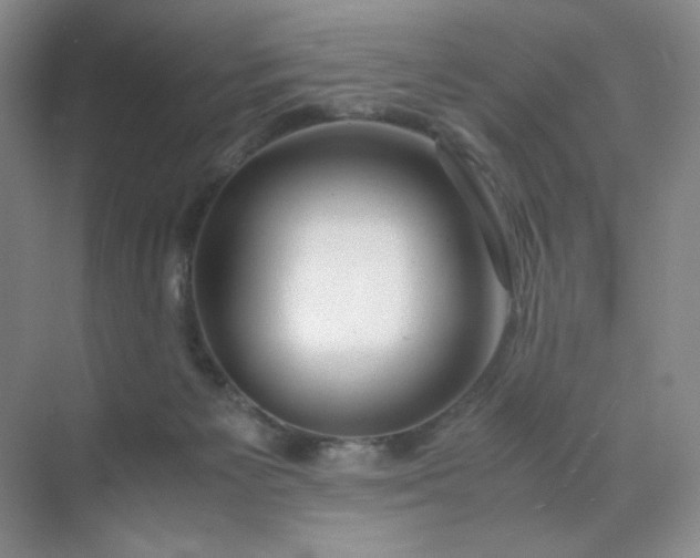 X0000071920125200607212118