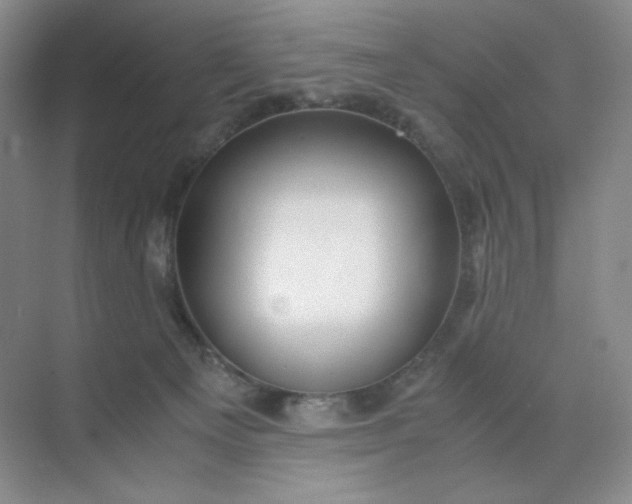 X0000071920129200607212118