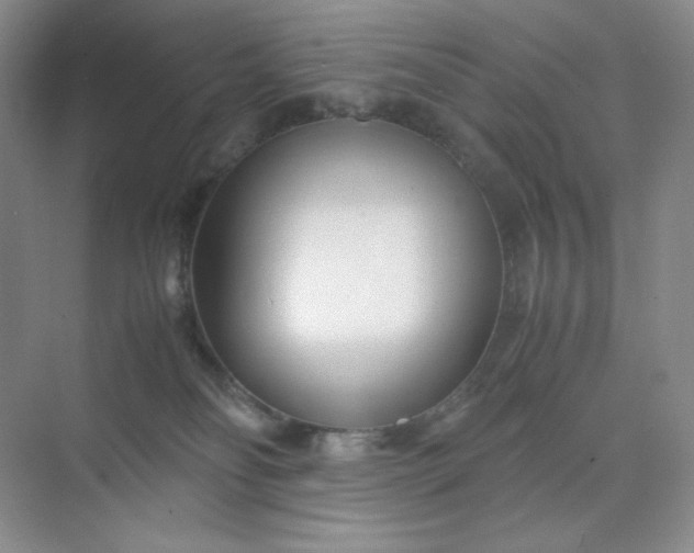 X0000071920134200607212118
