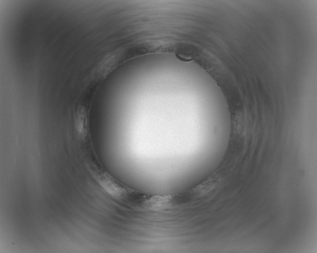 X0000071920138200607212118