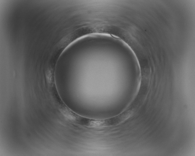 X0000071920139200607212118