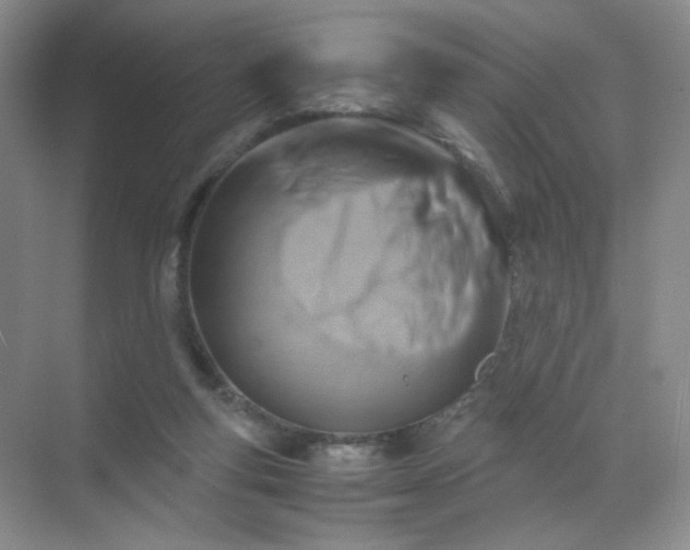 X0000071920163200607212117