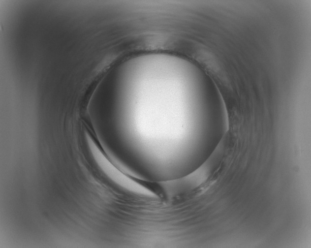 X0000071920164200607212117
