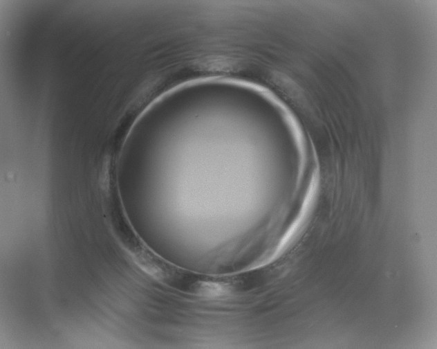 X0000071920167200607212117