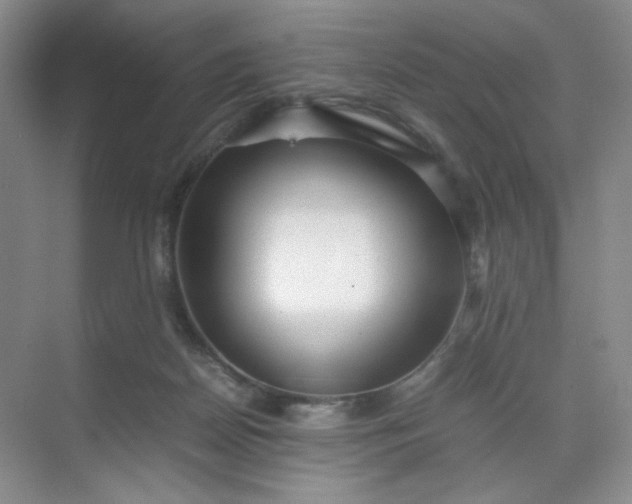 X0000071920170200607212117