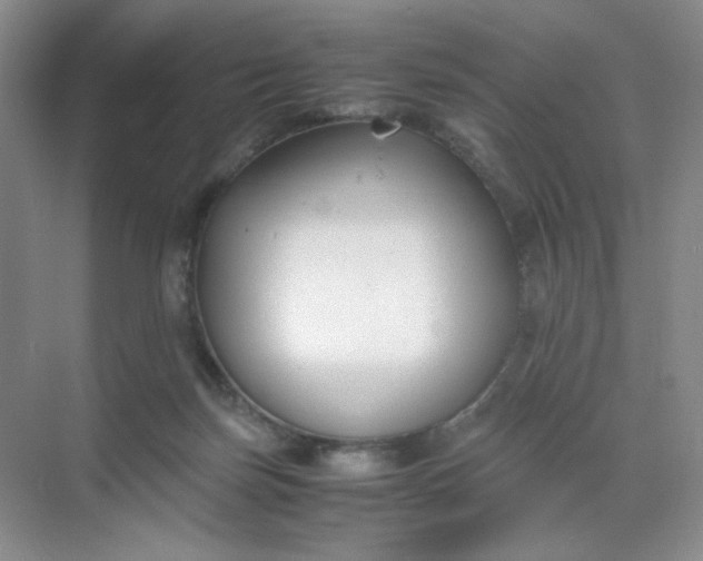 X0000071920171200607212117