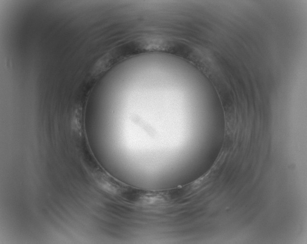 X0000071920175200607212117