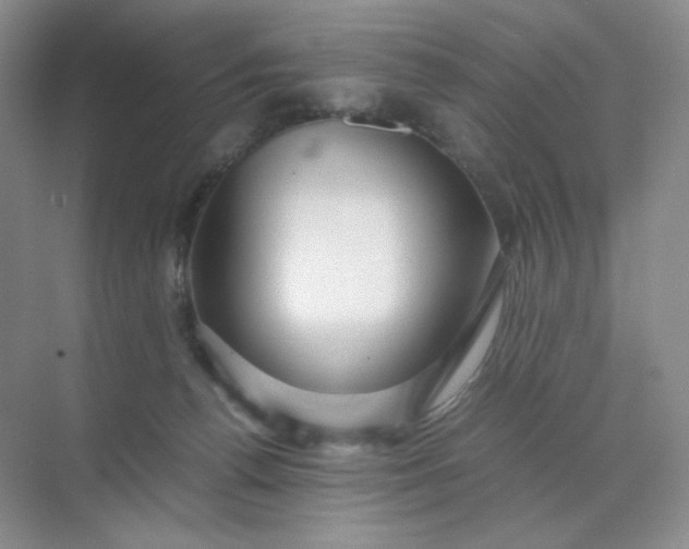 X0000071920176200607212117