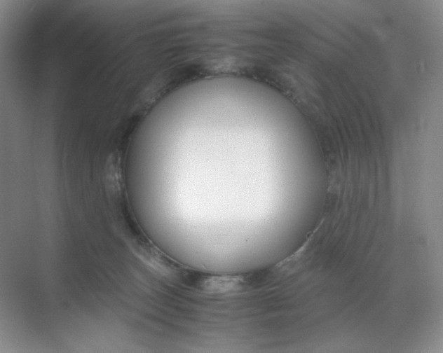 X0000071920179200607212117