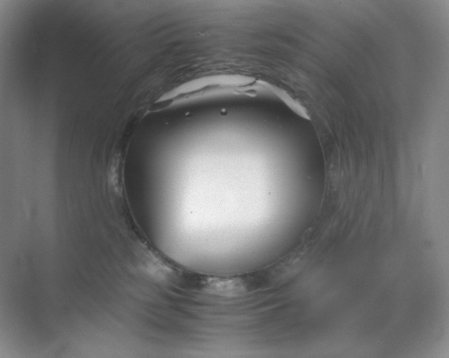 X0000071920185200607212117