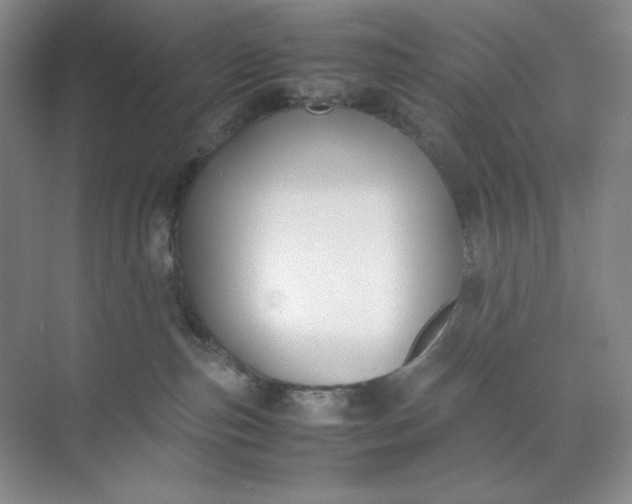 X0000071920187200607212118