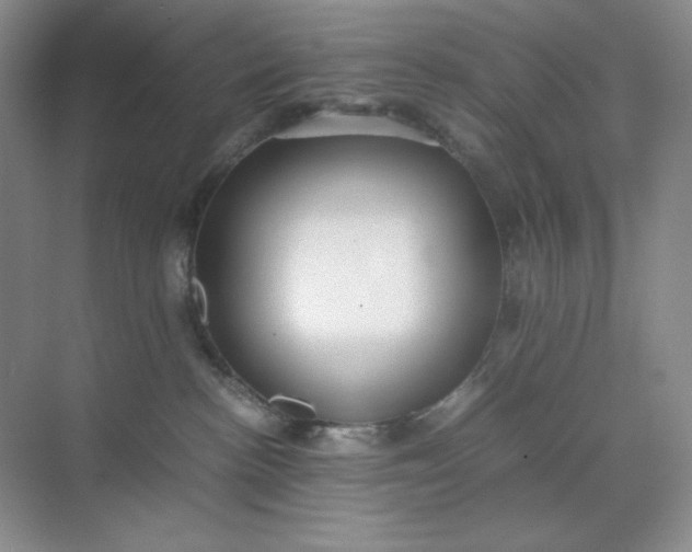 X0000071920188200607212118
