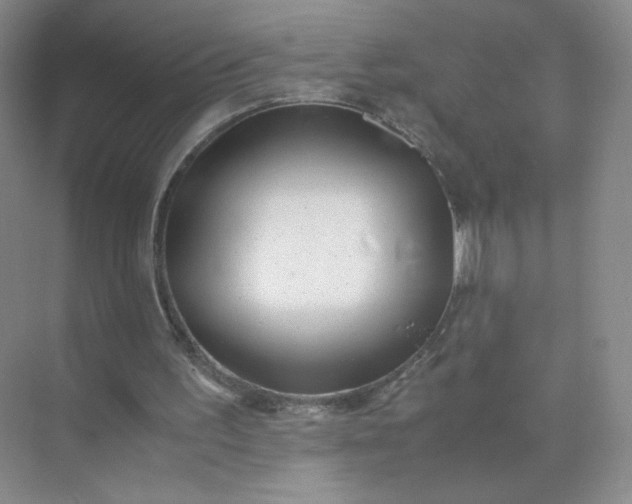 X0000071920195200607212117