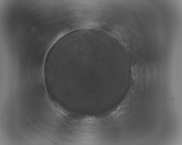 X0000071920196200607212117