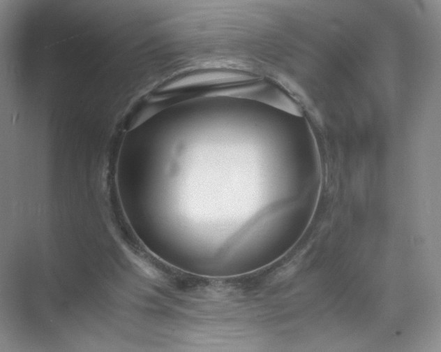 X0000071920201200607212117