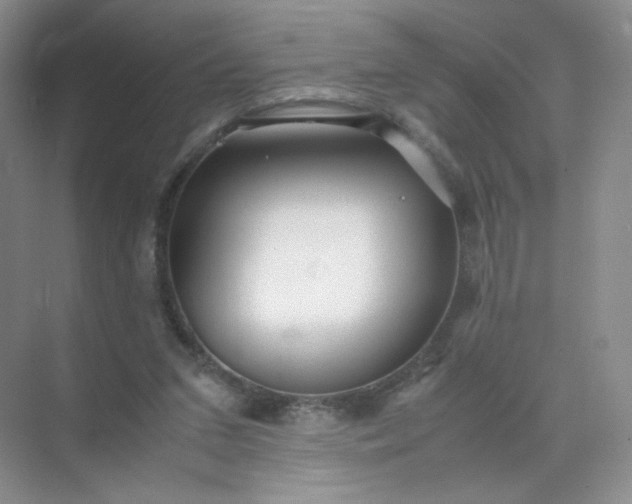 X0000071920207200607212117