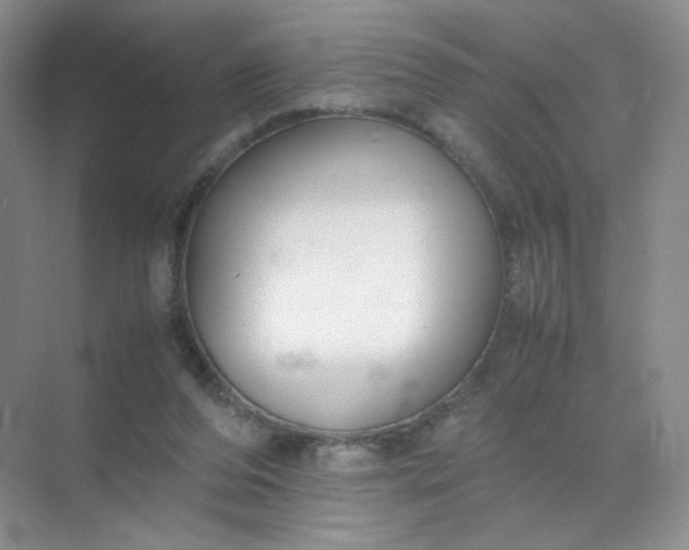 X0000071920208200607212117