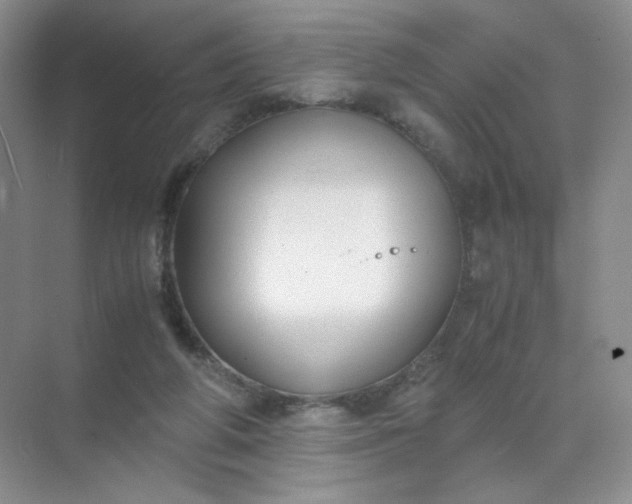 X0000071920210200607212116