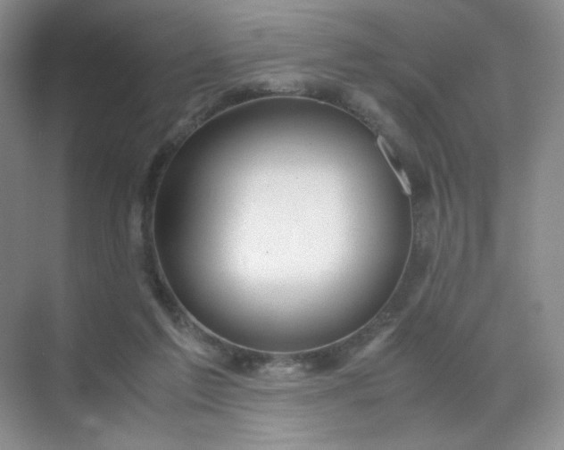 X0000071920213200607212116