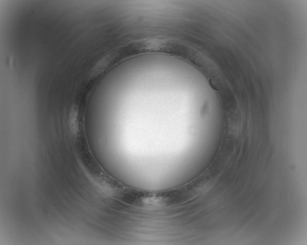 X0000071920216200607212116