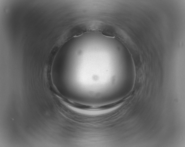 X0000071920217200607212116