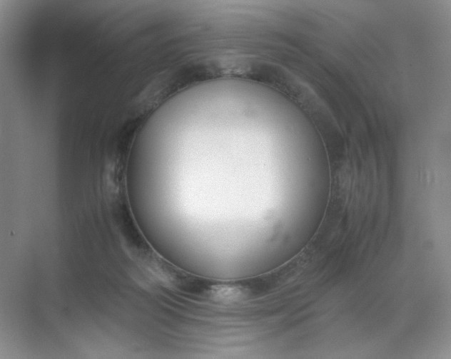 X0000071920218200607212116