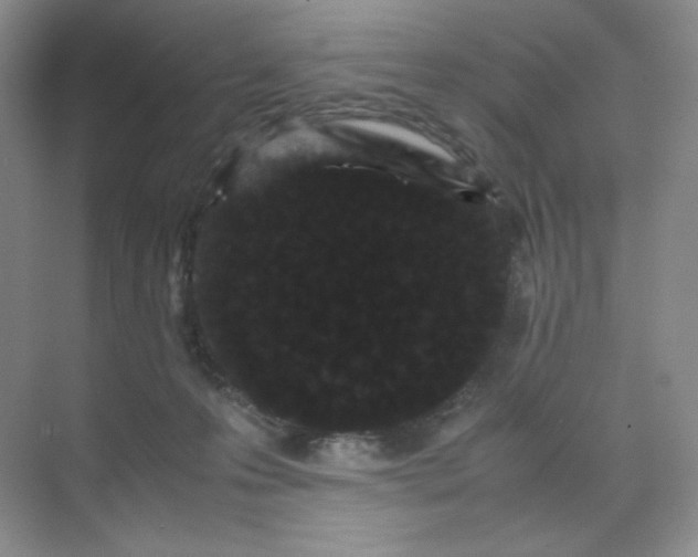 X0000071920223200607212116