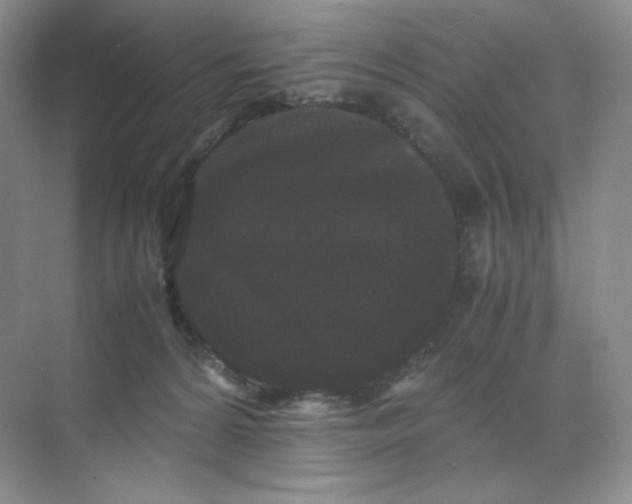 X0000071920224200607212116