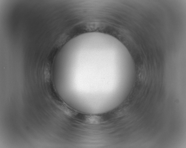 X0000071920226200607212116